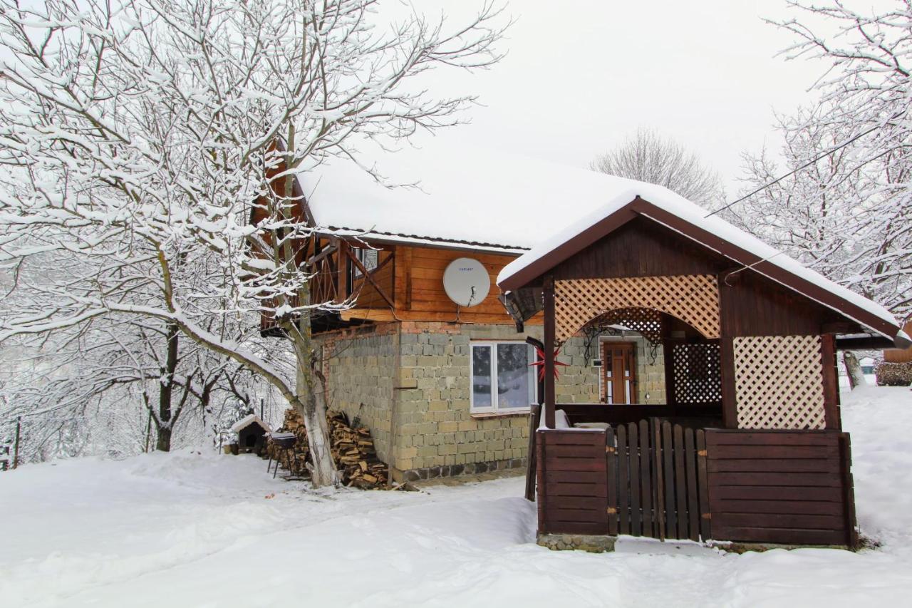 Appartement Багрівчанка à Yaremtche Extérieur photo