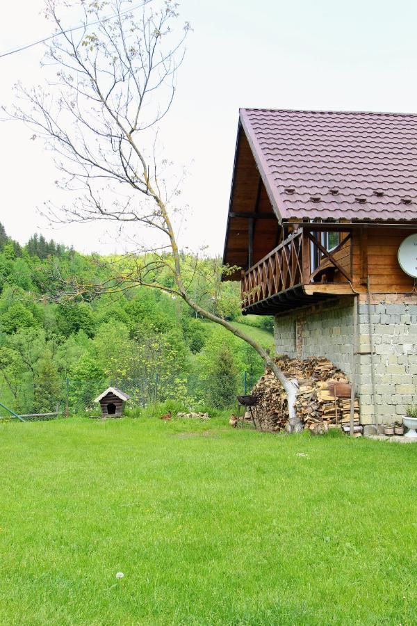 Appartement Багрівчанка à Yaremtche Extérieur photo