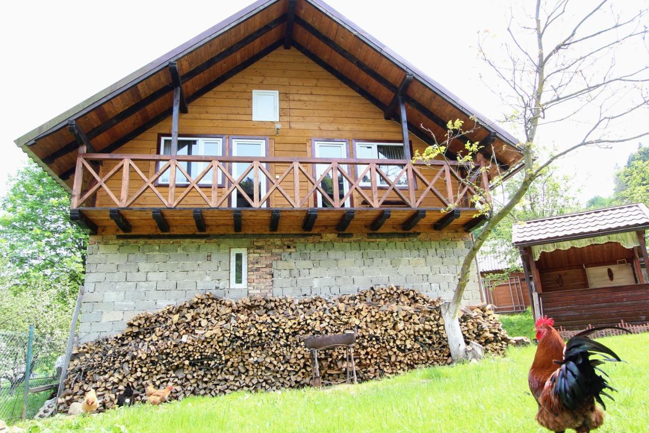 Appartement Багрівчанка à Yaremtche Extérieur photo